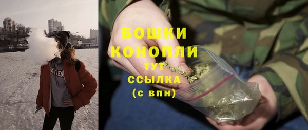 спайс Бородино