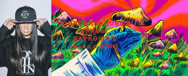 гашик Бугульма