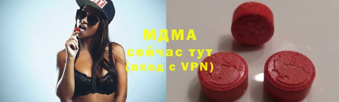 спайс Бородино
