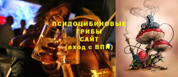 гашик Бугульма