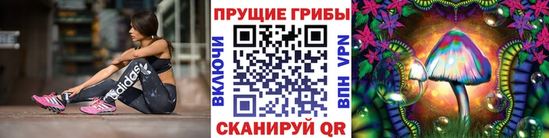 Галлюциногенные грибы ЛСД  Орехово-Зуево 